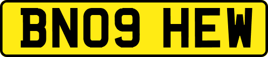 BN09HEW