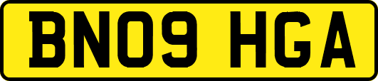 BN09HGA