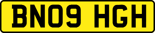 BN09HGH