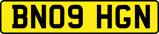 BN09HGN