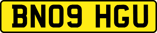 BN09HGU