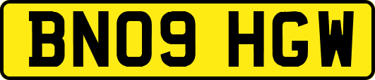 BN09HGW