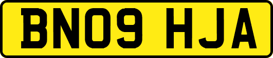 BN09HJA