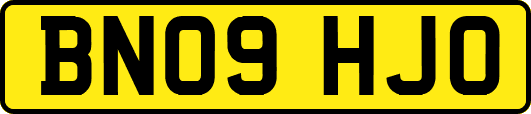 BN09HJO