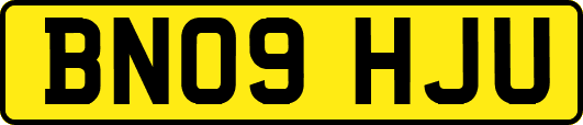 BN09HJU