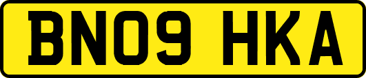 BN09HKA