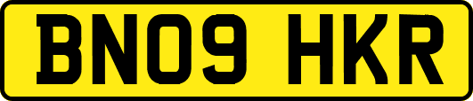 BN09HKR