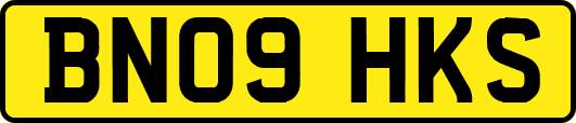 BN09HKS