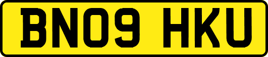 BN09HKU
