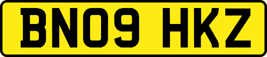 BN09HKZ