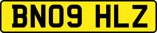 BN09HLZ