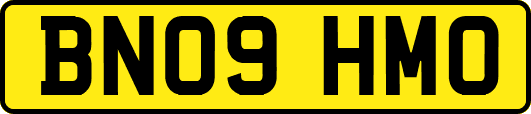 BN09HMO