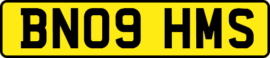 BN09HMS