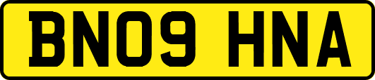 BN09HNA