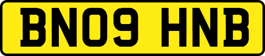 BN09HNB