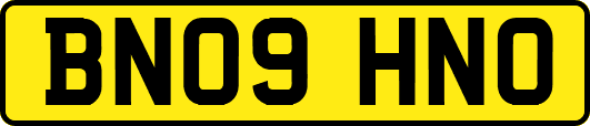 BN09HNO