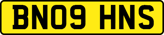 BN09HNS