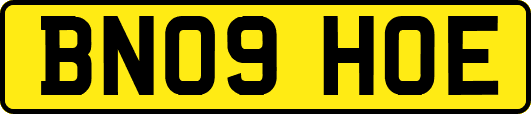 BN09HOE