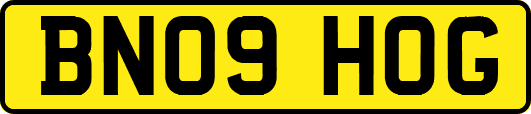 BN09HOG