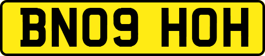 BN09HOH