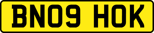 BN09HOK