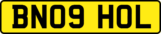 BN09HOL