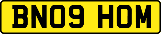 BN09HOM