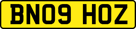 BN09HOZ