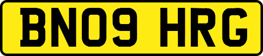 BN09HRG