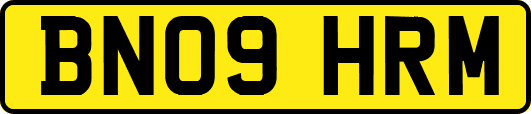 BN09HRM