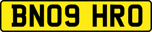 BN09HRO