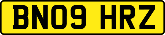 BN09HRZ