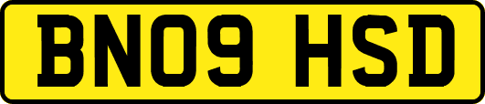 BN09HSD