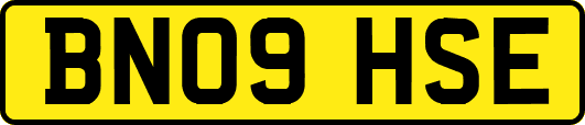 BN09HSE