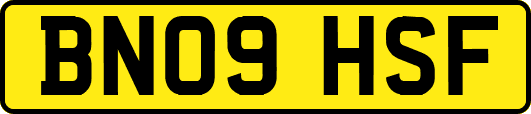 BN09HSF