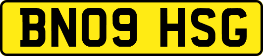 BN09HSG
