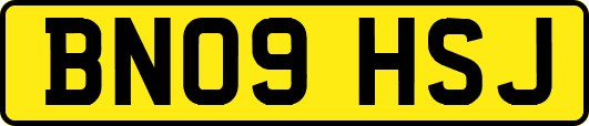 BN09HSJ