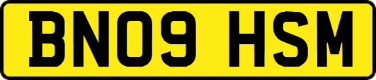 BN09HSM