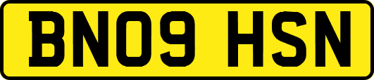 BN09HSN