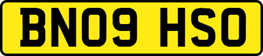 BN09HSO