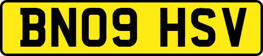 BN09HSV