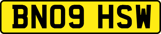 BN09HSW