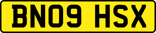 BN09HSX