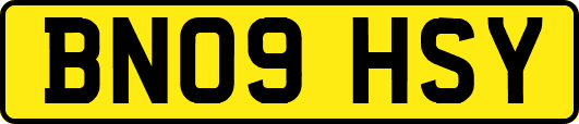 BN09HSY