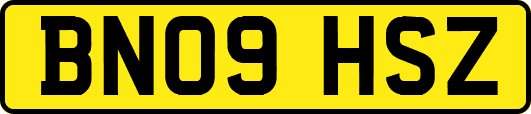 BN09HSZ