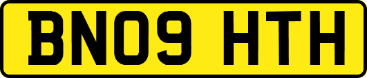 BN09HTH
