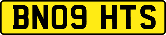 BN09HTS