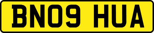 BN09HUA
