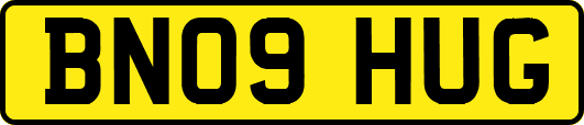 BN09HUG