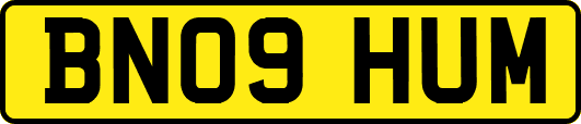 BN09HUM